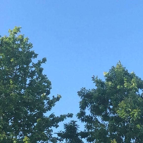 Meet your Posher, Mikayla - Picture 1 of 1